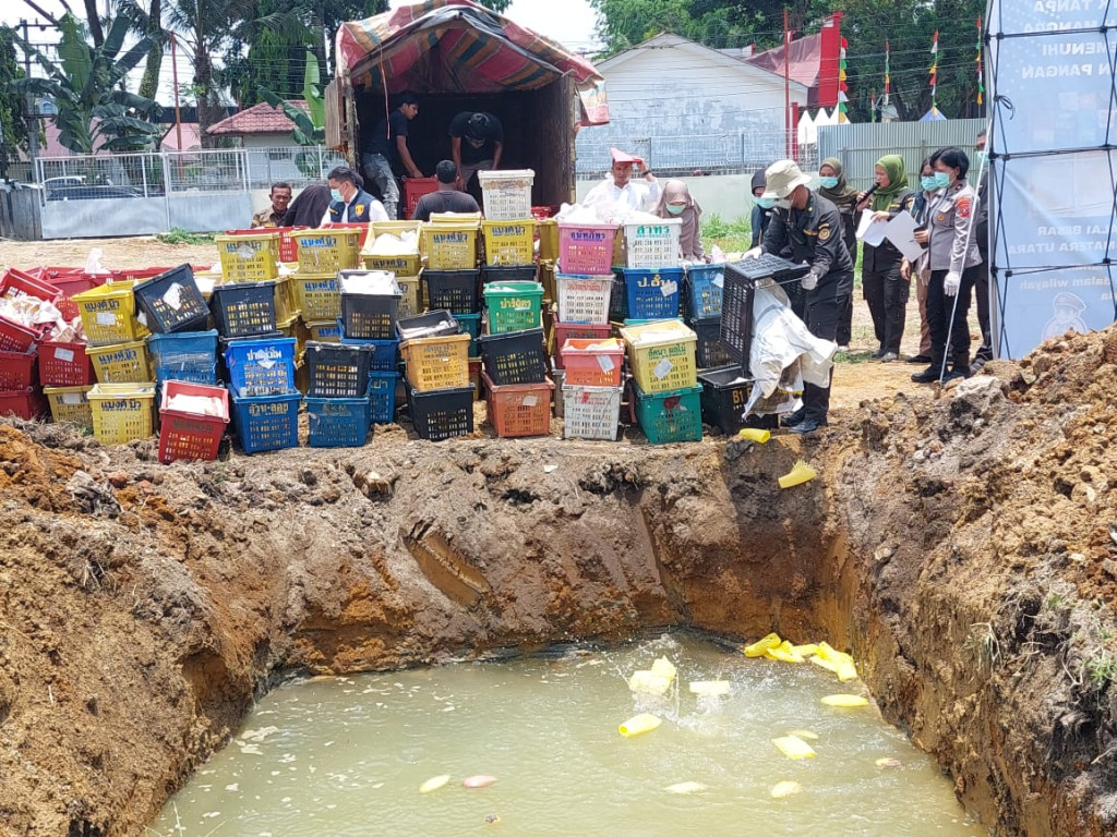 Polda Sumut Amankan Truk Pengangkut Mangga Ilegal Asal Thailand